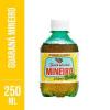 REFRIGERANTE MINEIRO GUARANA 250 ML