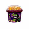 AÇAI COM GRANOLA 220ML 