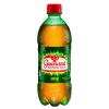 REFRIGERANTE GUARANA ANATARCTICA 600ML