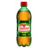 REFRIGERANTE GUARANA ANATARCTICA 600ML