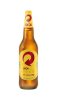 CERVEJAS SKOL 600ML