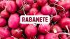 RABANETE 