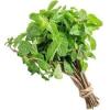 HORTELA 