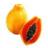 MAMAO PAPAYA 