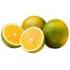 LARANJA CUTRALE