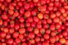 TOMATE CEREJA 