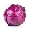 REPOLHO ROXO 