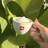 Café Latte