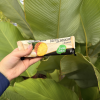 Picolé Ninho com Abacaxi 55g