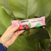 Picolé Frutas do Bosque 55g