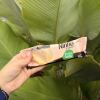 Picolé Ninho 55g