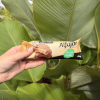 Picolé Alfajor 55g