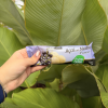 Picolé Açai com Ninho 55g