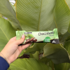 Picolé Chocomenta 55g