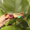 Picolé Avelã com Chocolate 55g