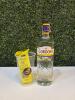 Copão Gin Gordons London ( copo / gelo / red bull / gin )