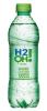 H20