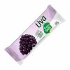 Picolé Zero Uva 55g