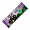 Picolé tradicional Jabuticaba 55g