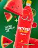 ENERGETICO INTENSE MELANCIA 2L