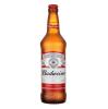 BUDWEISER LONG NECK 355 ML