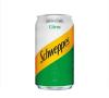 SCHWEPPS CÍTRUS
