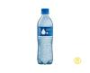 SÃO LOURENÇO AGUA MINERAL S GAS GRF PET 510ML