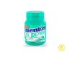 GARRAFA MENTOS PF WINTRGREEN 28P