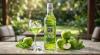 GIN STROKE MAÇÃ VERDE 900 ML