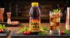 GUARAVITON GINSENG 500ML