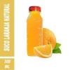 SUCO NATURAL 300ML