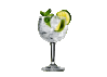 GIN TÔNICA