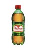 GUARANÁ 600ml