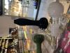 CACHIMBO VIDRO CORES TO NA BE grande