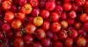 Polpa acerola