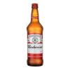  Budweiser Long Neck 330ml
