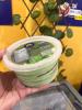 SORVETE CHOCO MENTA 1 LITRO