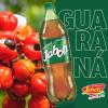 JABOTI GUARANÁ 2L