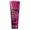 SHAMPOO SIAGE PRO CRONOLOGY 250ML