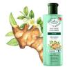 SHAMPOO FLORES E VEGETAIS DETOX CAPILAR 310ML