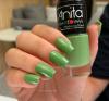 ESMALTE ANITA OUTONO RIO ALTINHA NA BARRA 10ML