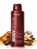 BODY SPRAY AEROSOL VANGUARD MOOD 225ML