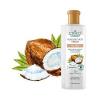 SHAMPOO FLORES VEGETAIS ANTI FRIZZ OLEO COCO VIRGEM 300ML