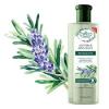 CONDICIONADOR FLORES E VEGETAIS REVITALIZANTE 310 ML