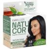 TONALIZANTE NATUCOR PRETO NATURAL 1.0