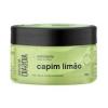 CREME ESFOLIANTE LABOTRAT CAPIM LIMAO DIA A DIA 300G