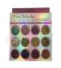 KIT DE GLITTER FAN NAILS COM 12 CORES