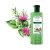 SHAMPOO FLORES E VEGETAIS ANTIQUEDA SETE ERVAS 310ML