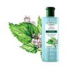 SHAMPOO FLORES E VEGETAIS URTIGA E LUPULO ANTICASPA 310ML