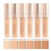 CORRETIVO PINK 21 INTENSITY CONCEALE COR 01 AO 06 8ML